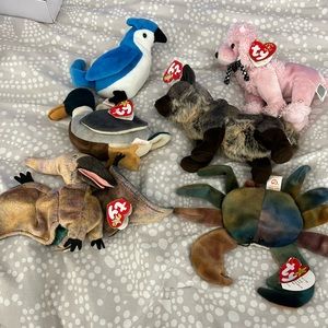 6 beanie babies